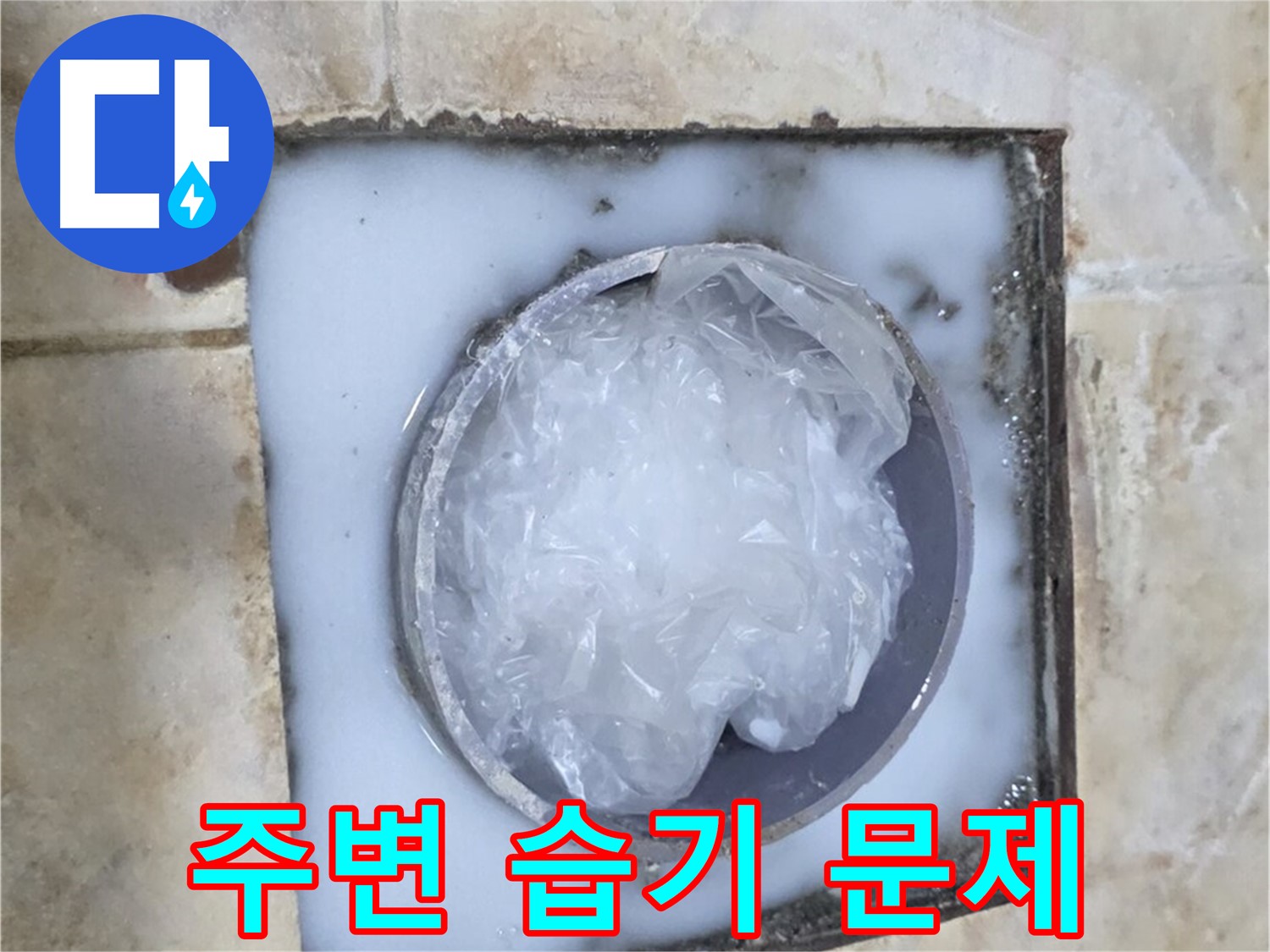 하수구 누수 - 주변 습기 문제 해결 과정