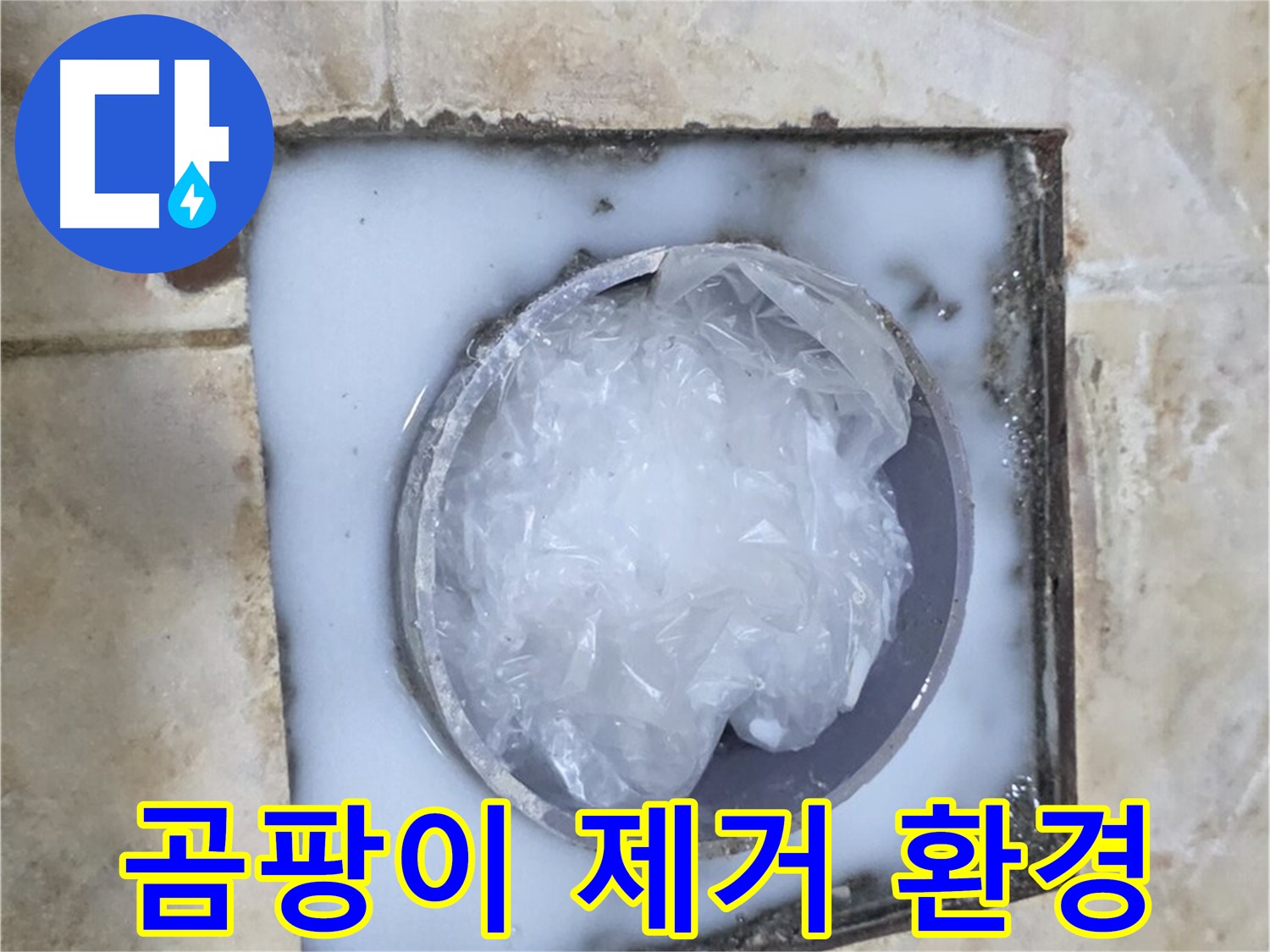 하수구 트랩 - 주변 곰팡이 제거 쾌적한 환경