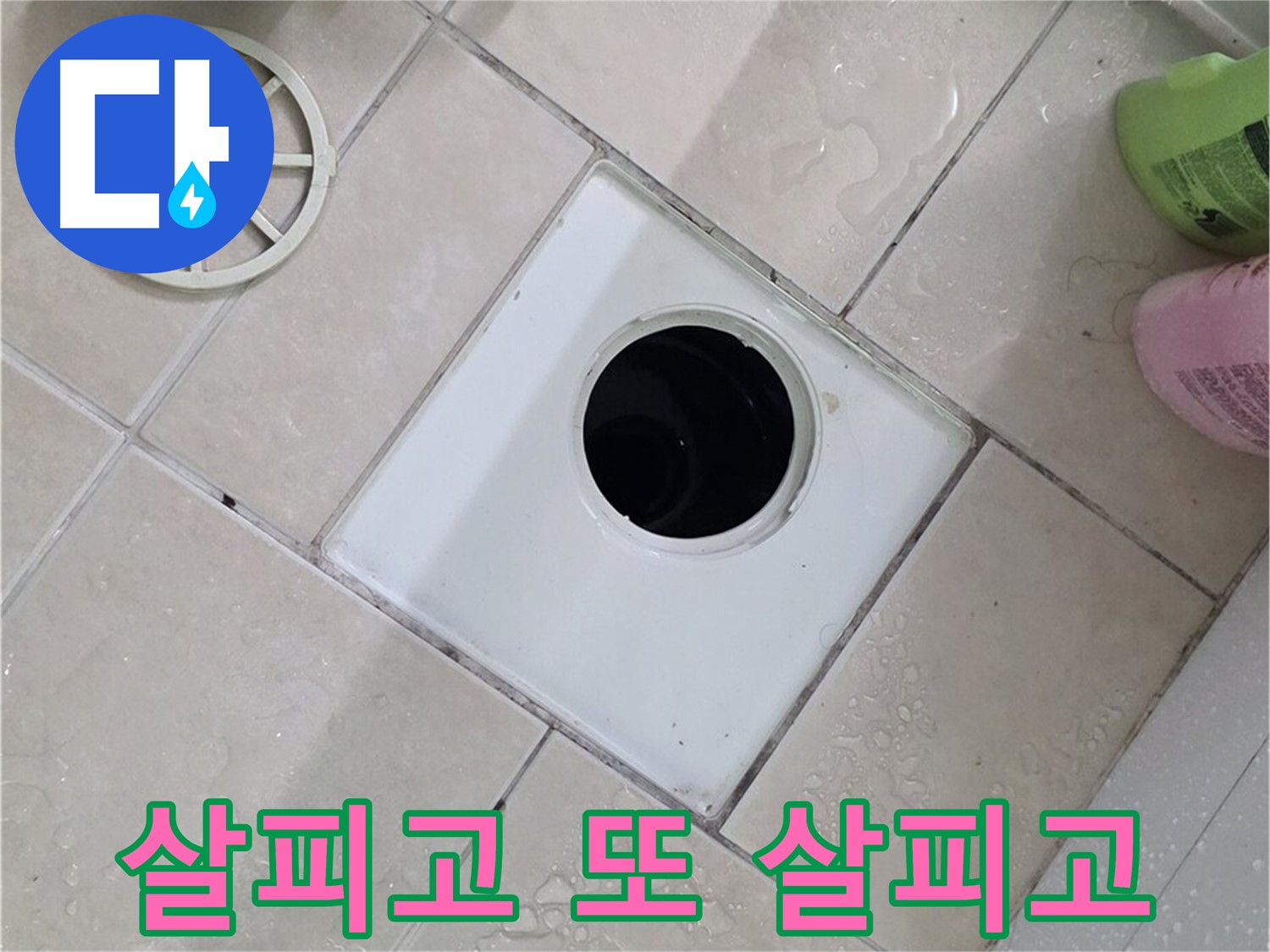 백석읍 서광아침의빛 욕실 배수구 - 꼼꼼하게 살피고 또 살피고