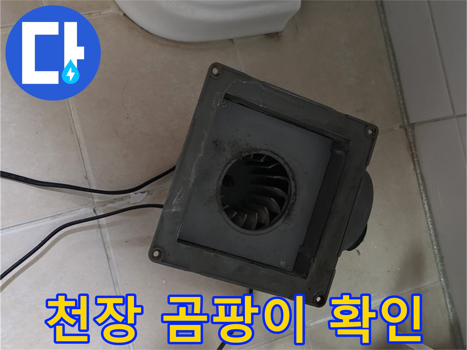 양주 누수 해결 - 서광아파트 천장 곰팡이 확인