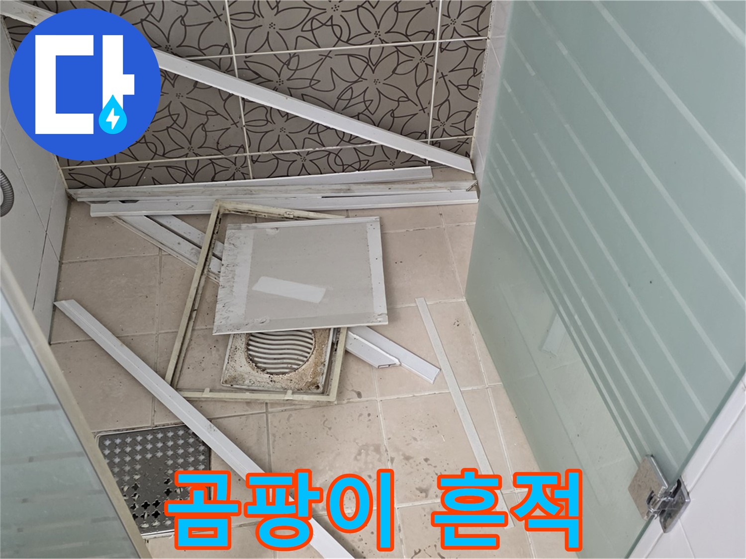 양주 백석 서광아파트 누수 - 점검구 주변, 곰팡이 흔적 발견