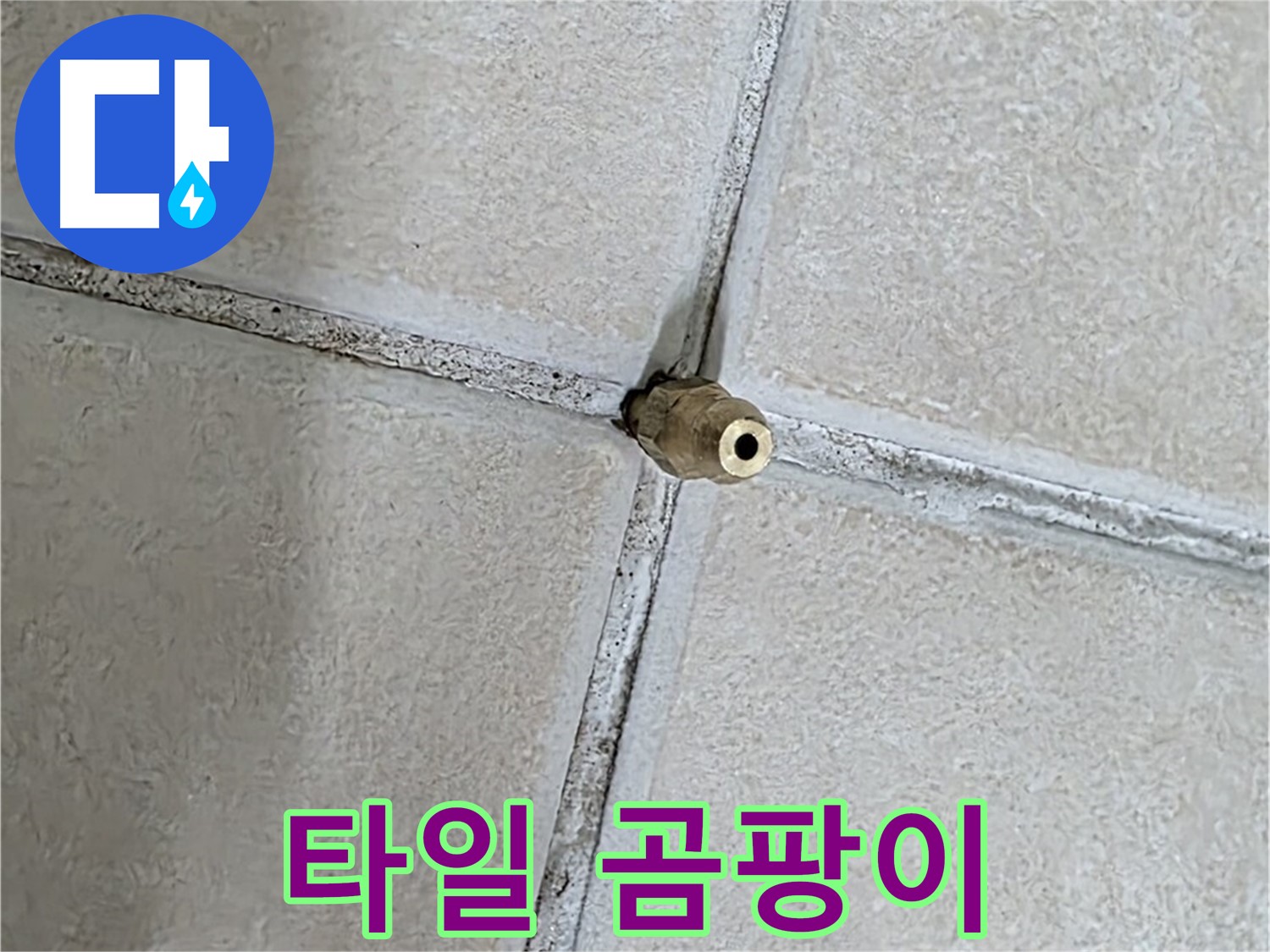 양주 백석 서광아파트 누수 - 타일 틈새의 곰팡이는 누수뿐만 아니라 건강에도 악영향을 미칠 수 있습니다.