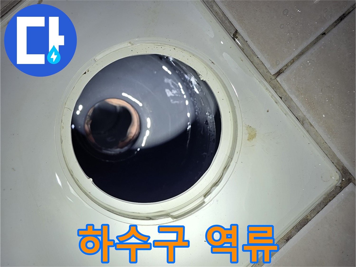 양주 백석 서광아파트 세탁실 하수구 역류 - 섬유 찌꺼기 제거, 배수 원활