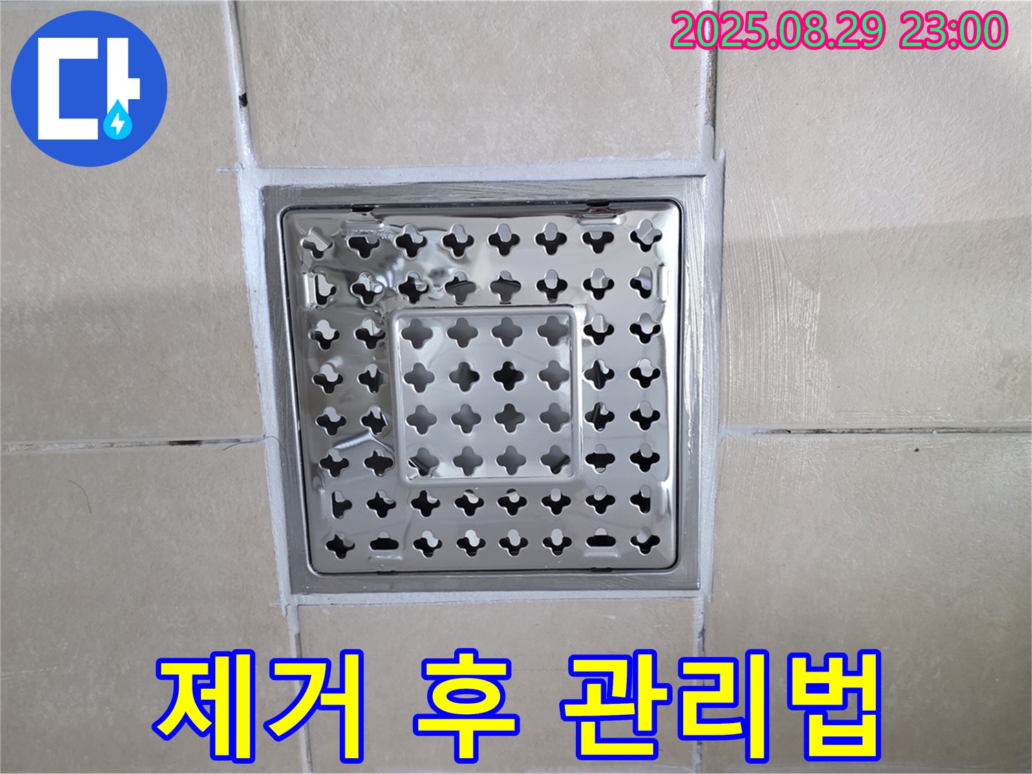 양주 백석 서광아파트 욕실 - 곰팡이 제거 후, 어떻게 관리해야 다시 생기지 않을까요?