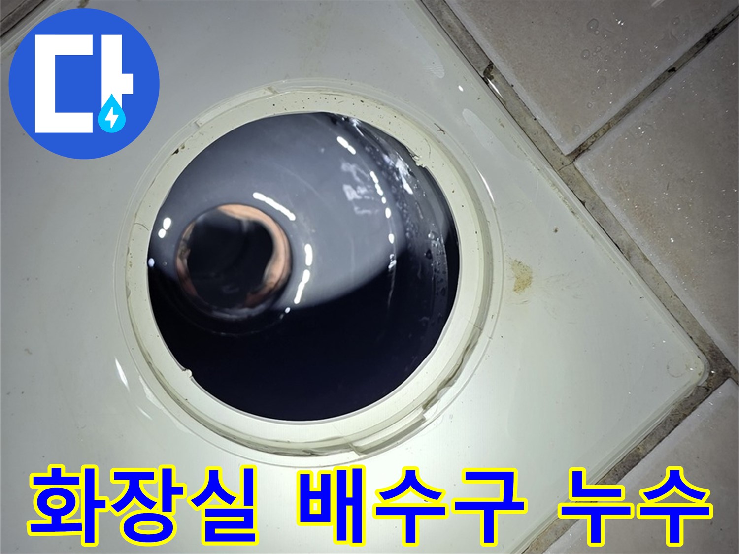양주 백석 서광아파트 화장실 배수구 누수 - 꼼꼼한 누수 탐지와 완벽한 보수 공사