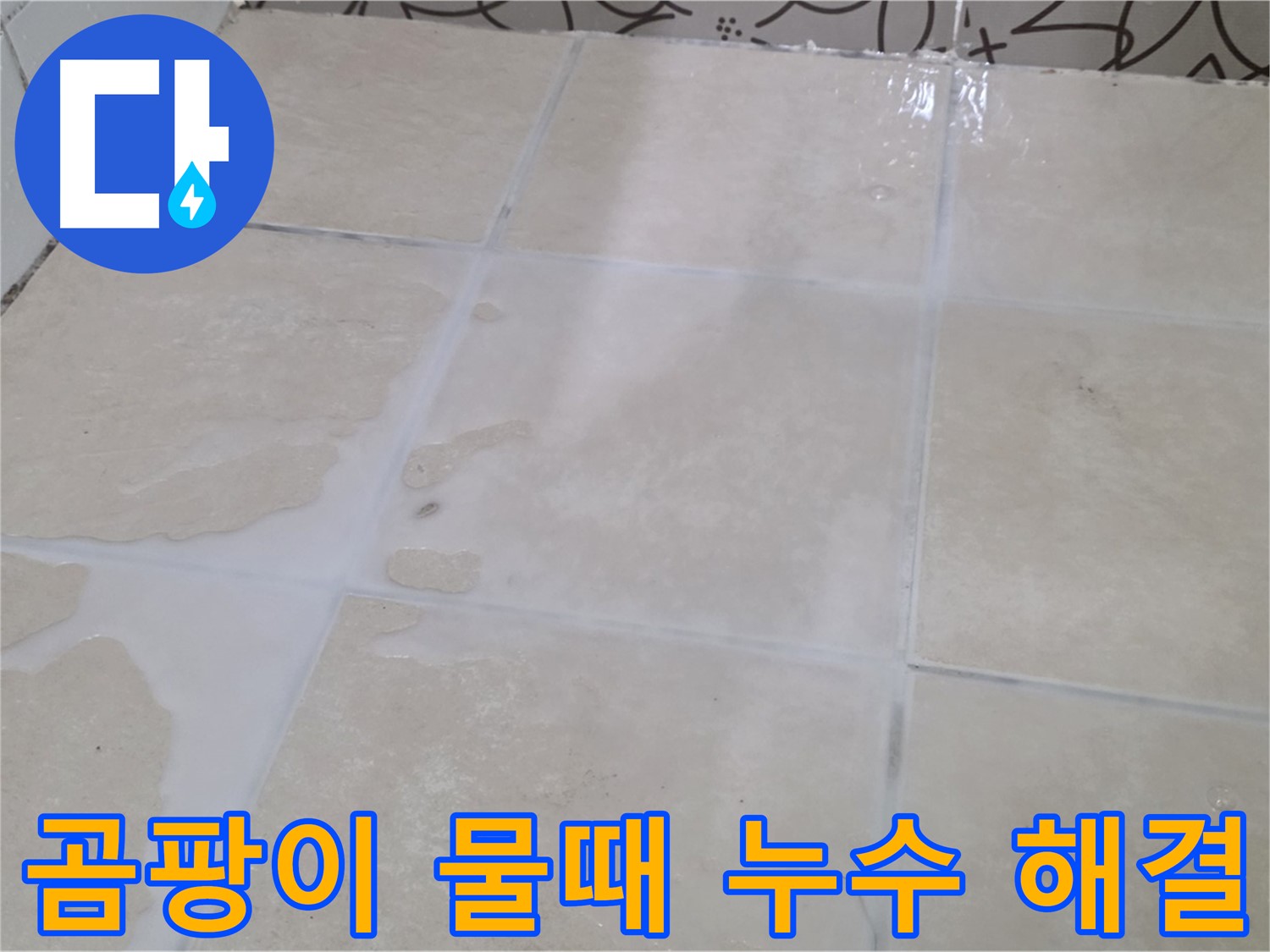 욕실 타일 틈새 곰팡이 물때 누수 해결 - 깨끗하고 쾌적한 욕실 환경 조성