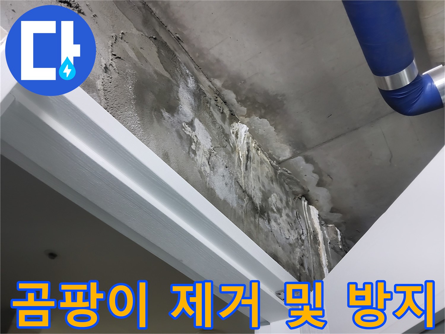 곰팡이 제거 및 방지 - 누수로 인해 발생한 곰팡이를 깨끗하게 제거하고 방지하는 작업 모습입니다.
