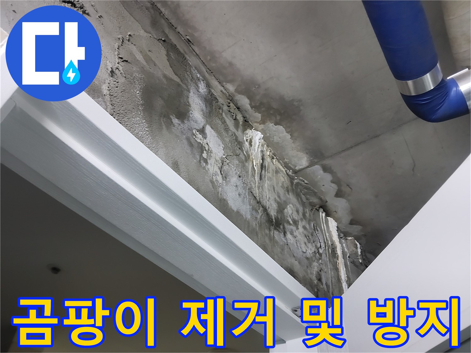 곰팡이 제거 및 방지 - 누수로 인해 발생한 곰팡이를 깨끗하게 제거하고 방지하는 작업 모습입니다.