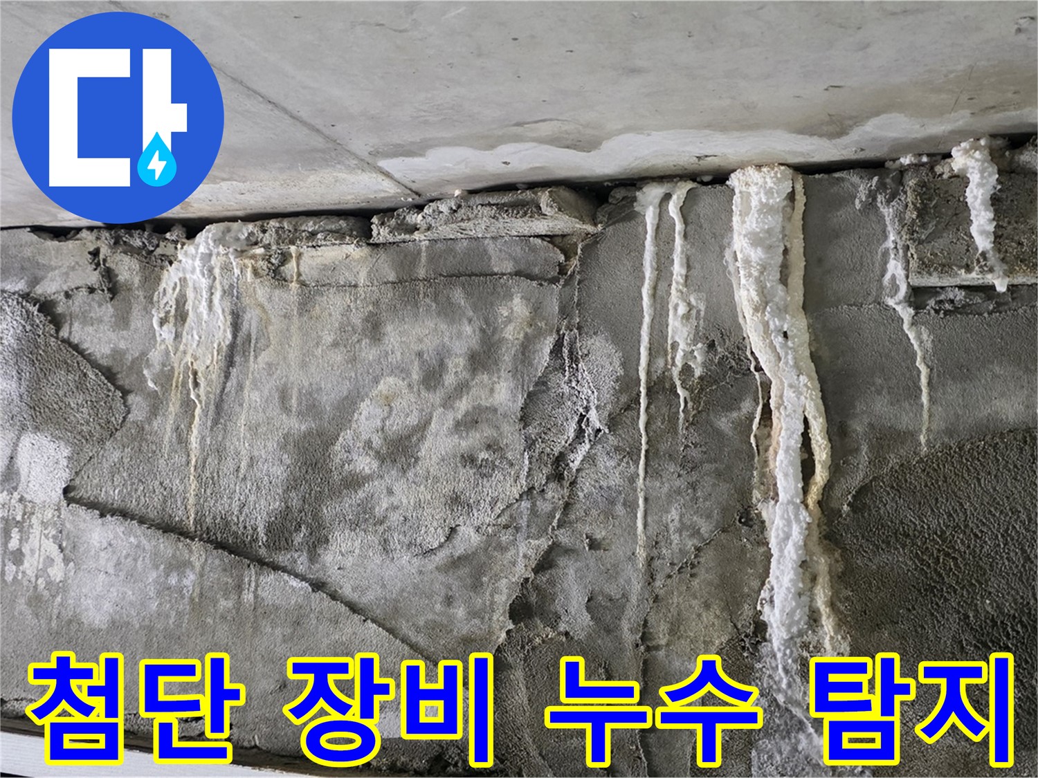 분당 누수 탐지 - 첨단 장비로 숨은 누수 체포