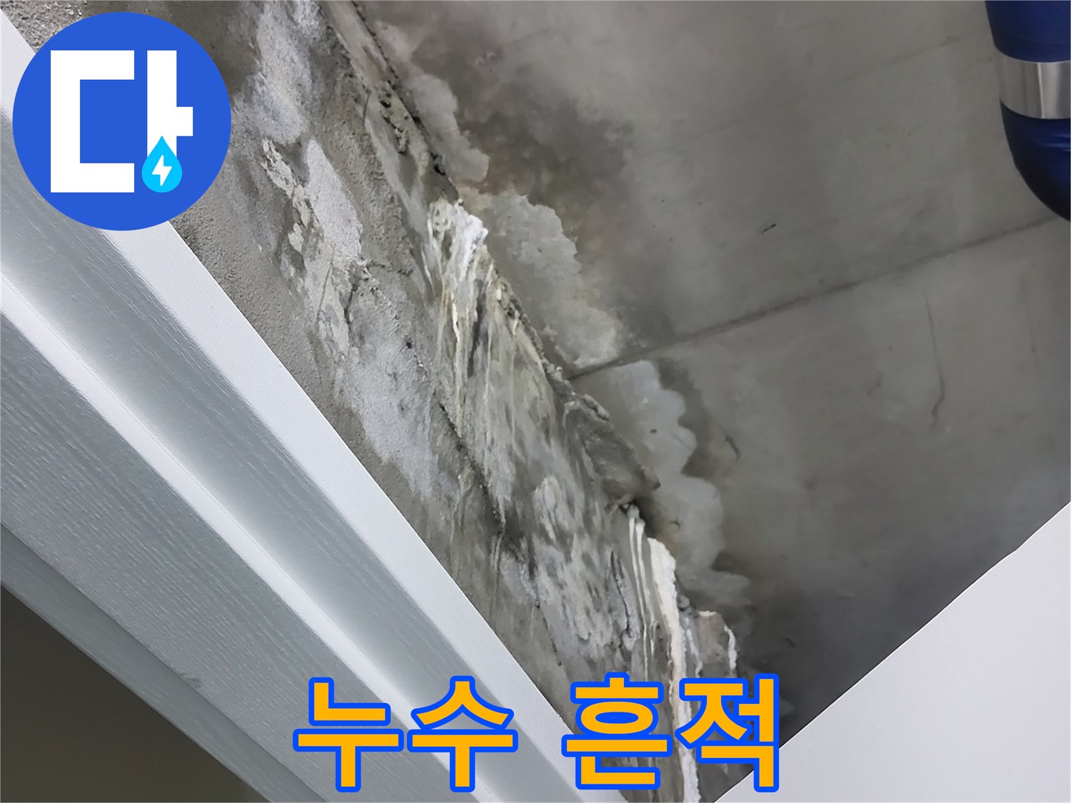 분당 운중동 누수 - 곰팡이 발생 전 누수 흔적 완벽 차단