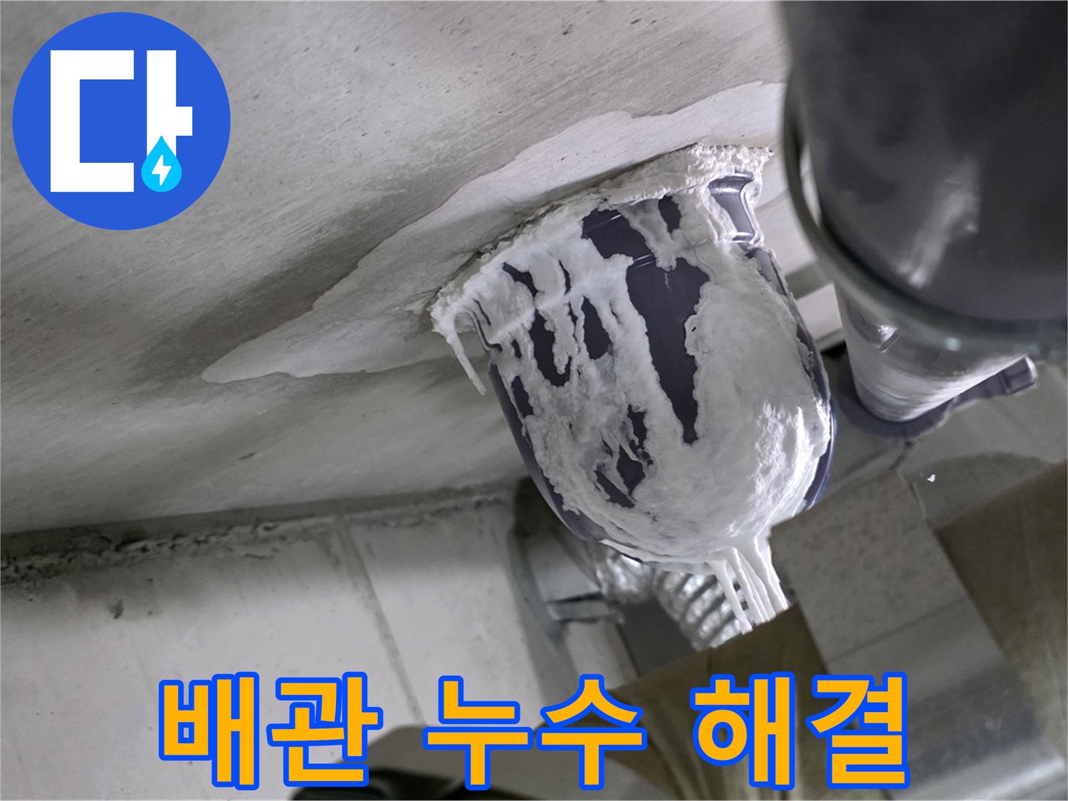 분당 운중동 누수 - 문제의 배관 연결 부위를 찾아 꼼꼼하게 수리 완료