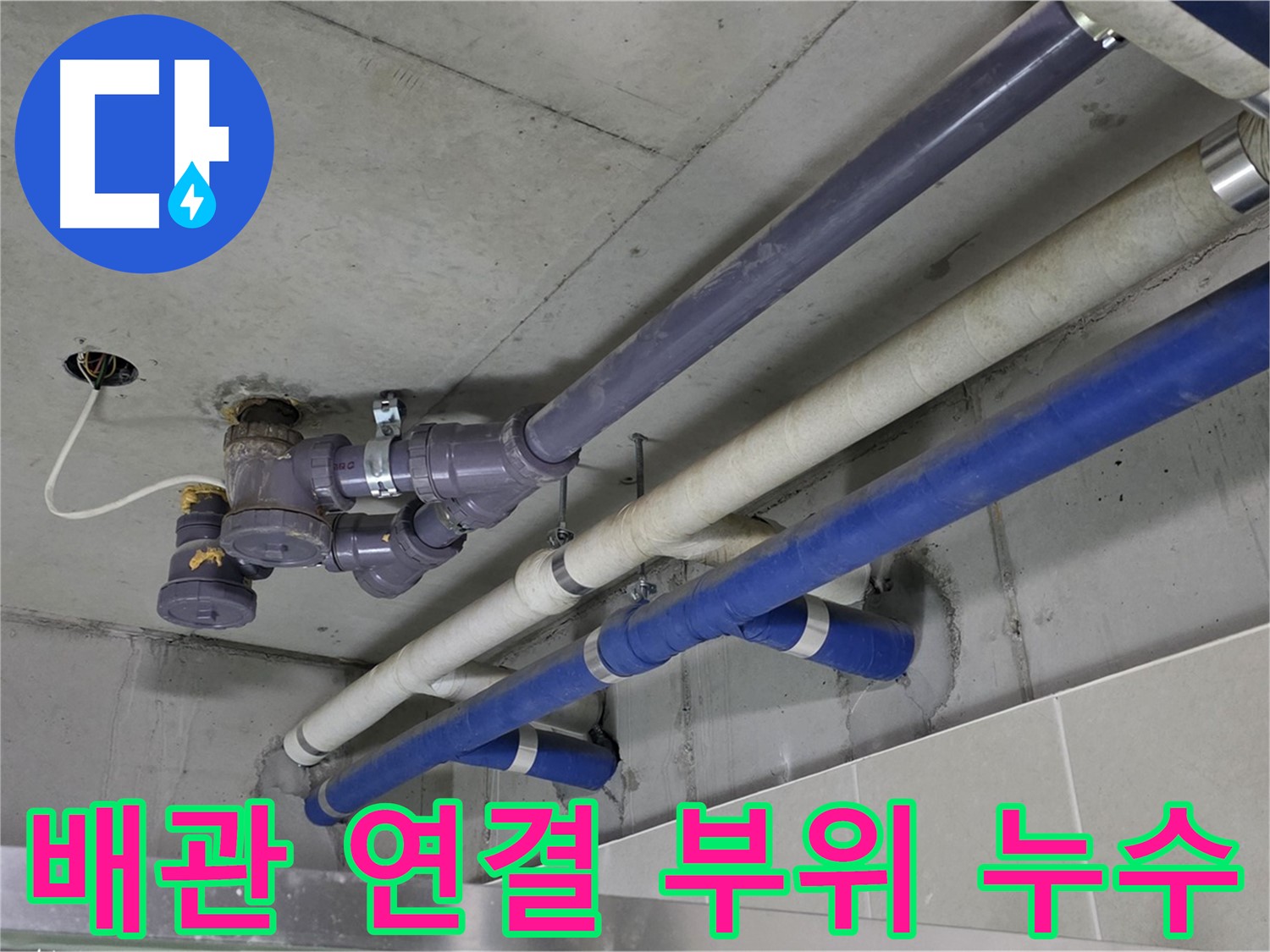 분당 운중동 배관 연결 부위 누수 - 정확한 위치 파악 및 보수