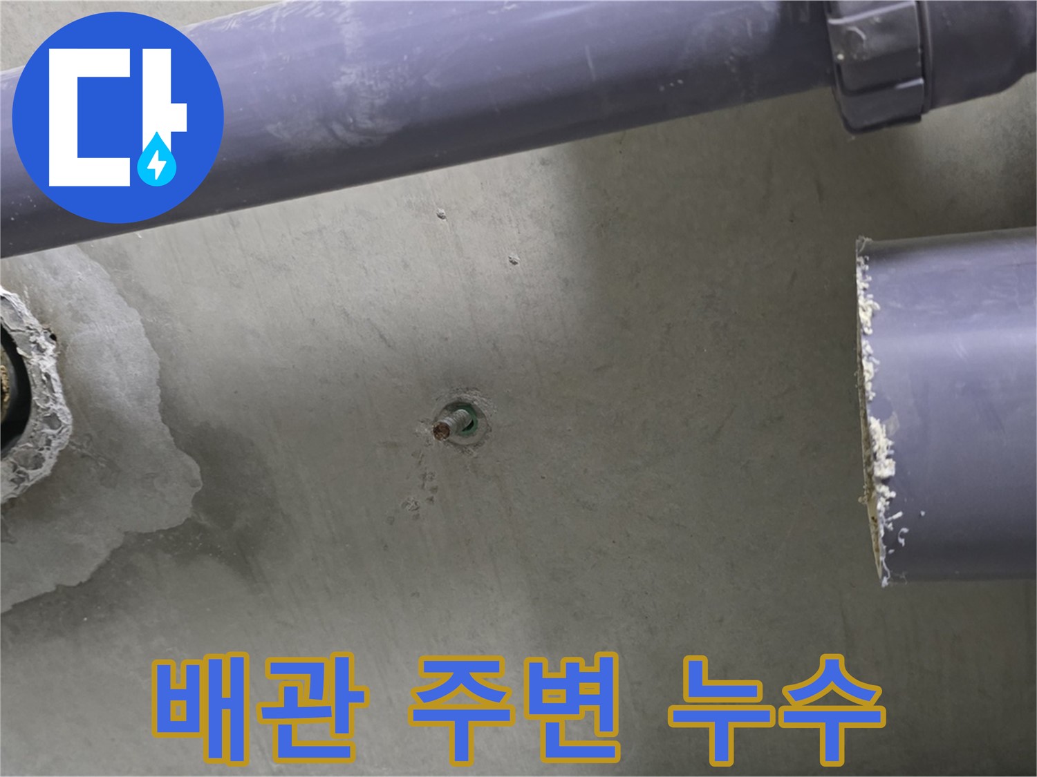 분당 운중동 산운로 산운마을6단지 아파트 누수 현장에서 배관 주변의 누수 흔적을 보여주는 사진 - 꼼꼼한 관찰로 누수를 찾아냅니다.