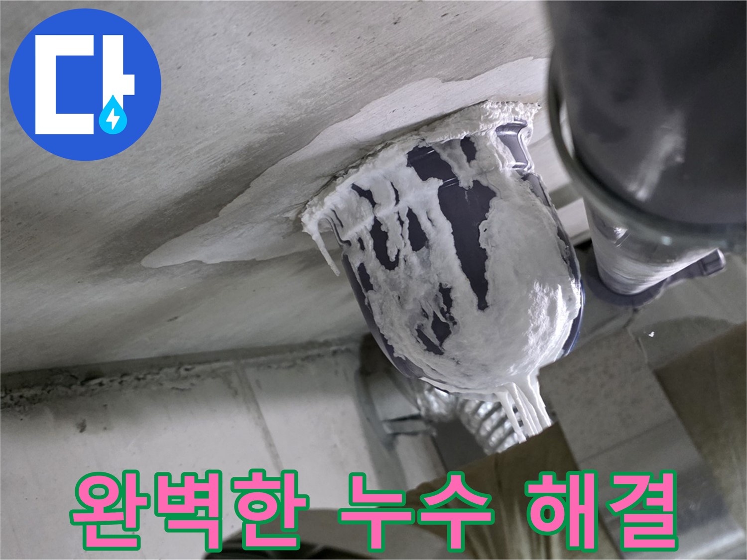 분당 운중동 산운마을 - 완벽한 누수 해결로 고객 만족 극대화