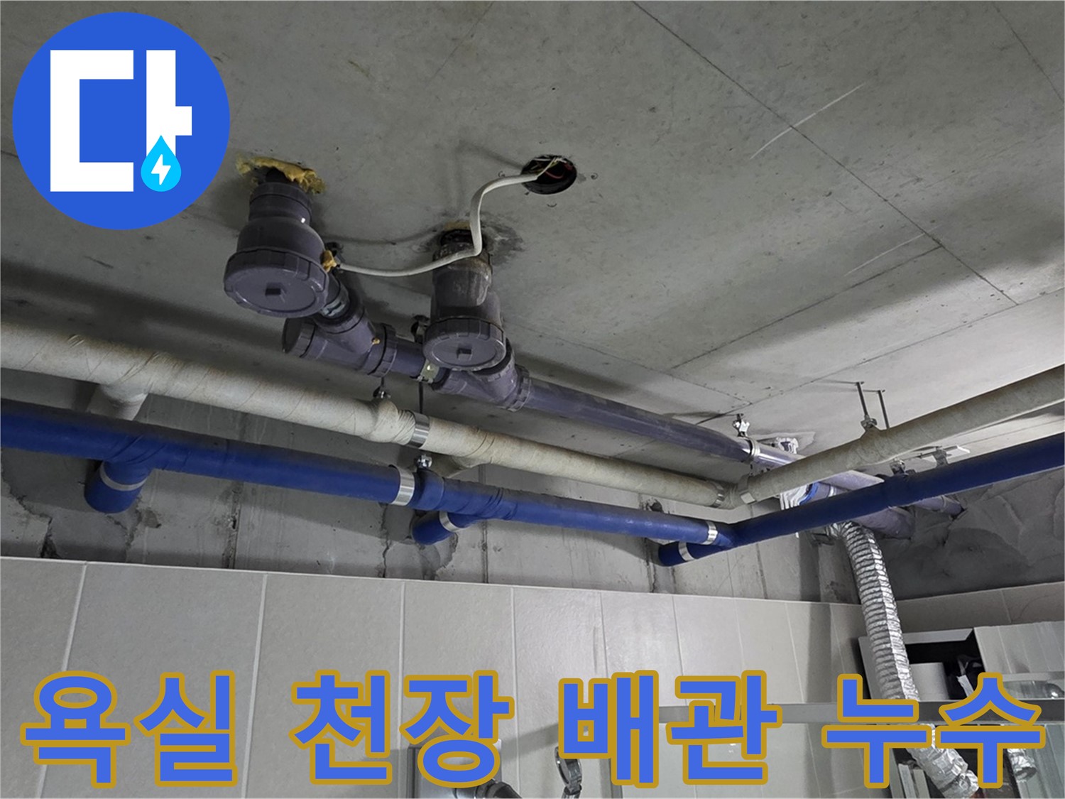 분당 운중동 산운마을 욕실 천장 배관 누수 - 전문 누수탐지 기술로 정확하게 진단하고 완벽하게 해결합니다.
