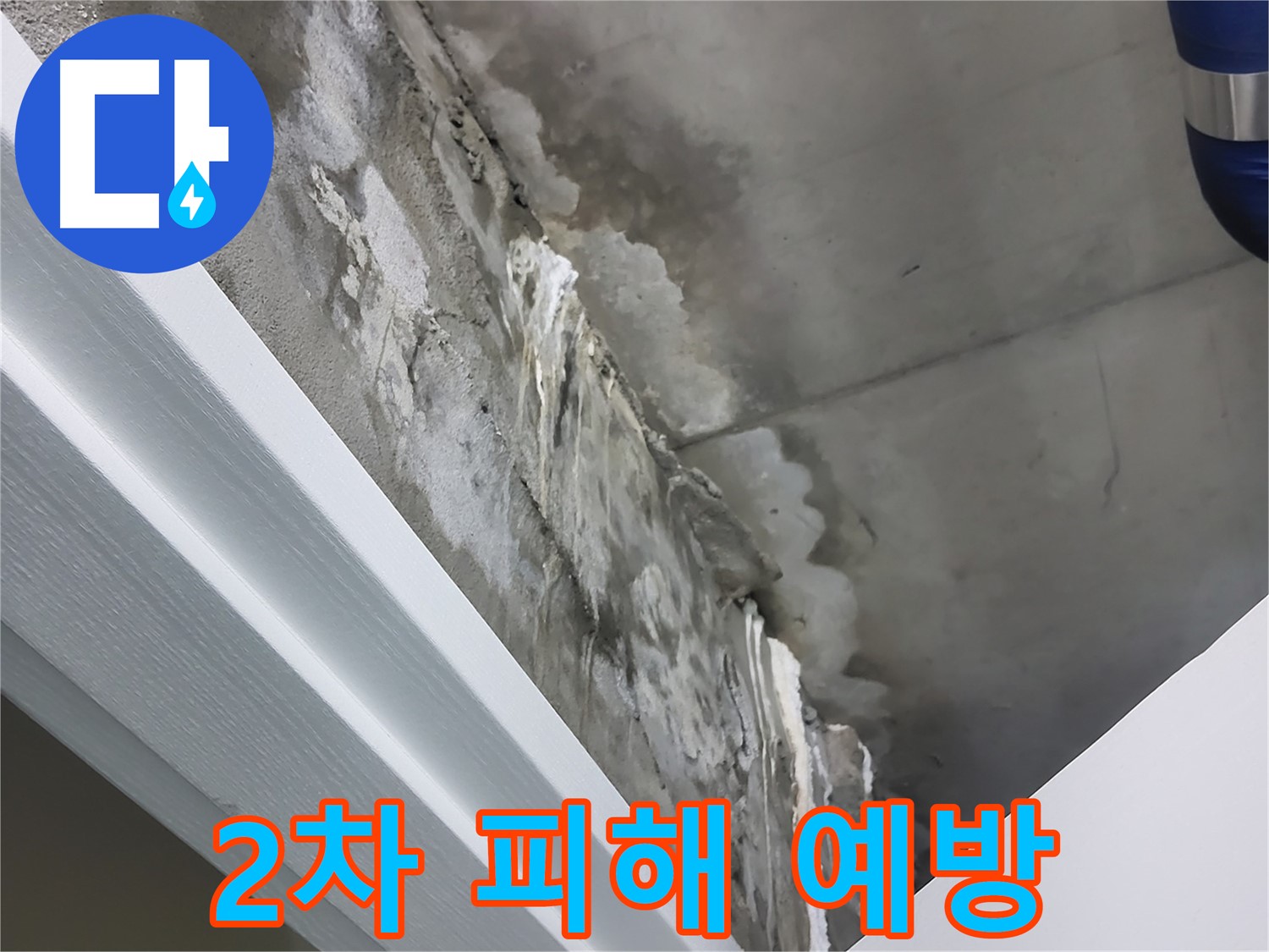 분당 운중동 산운마을 - 콘크리트 천장 누수 - 2차 피해 예방 - 꼼꼼 시공