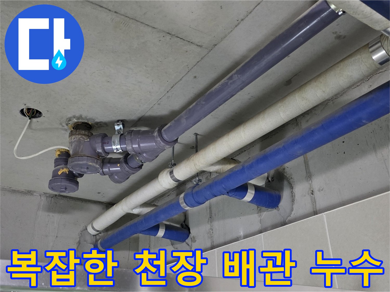 분당 운중동 상가 복잡한 천장 배관 누수 - 꼼꼼한 점검과 해결