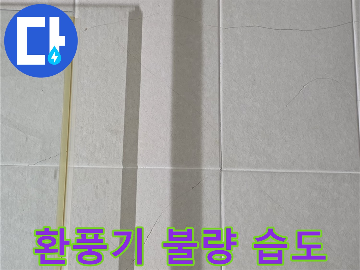 분당 운중동 샤워부스 - 벽면 타일 틈새 누수, 환풍기 작동 불량으로 인한 습도 문제