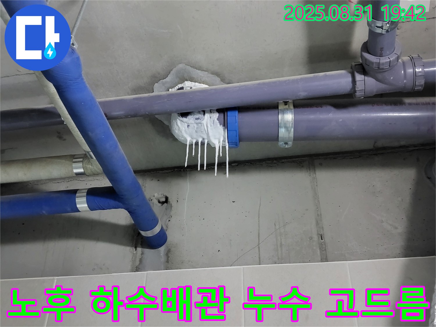 분당 운중동 아파트에서 발생한 노후 하수배관 누수 - 천장 점검구에서 발견된 누수 흔적과 고드름