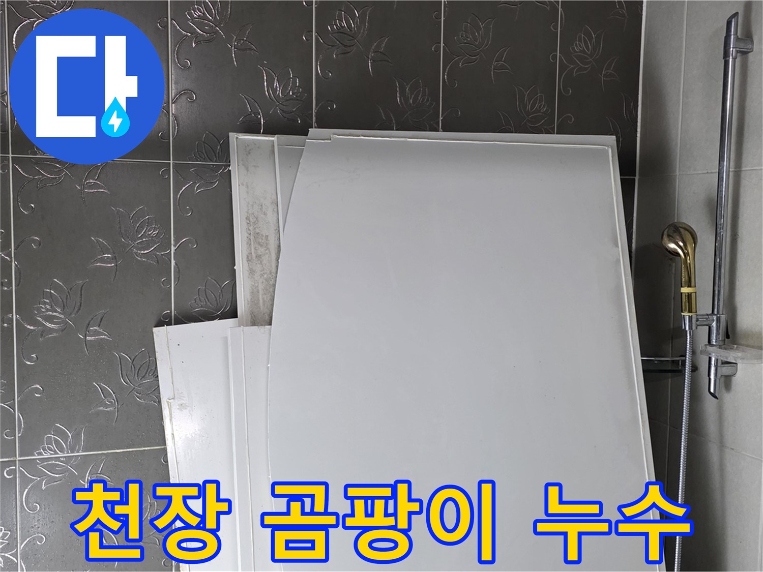 분당 운중동 욕실 천장 - 곰팡이와 누수의 전쟁 - 근본적인 원인 해결