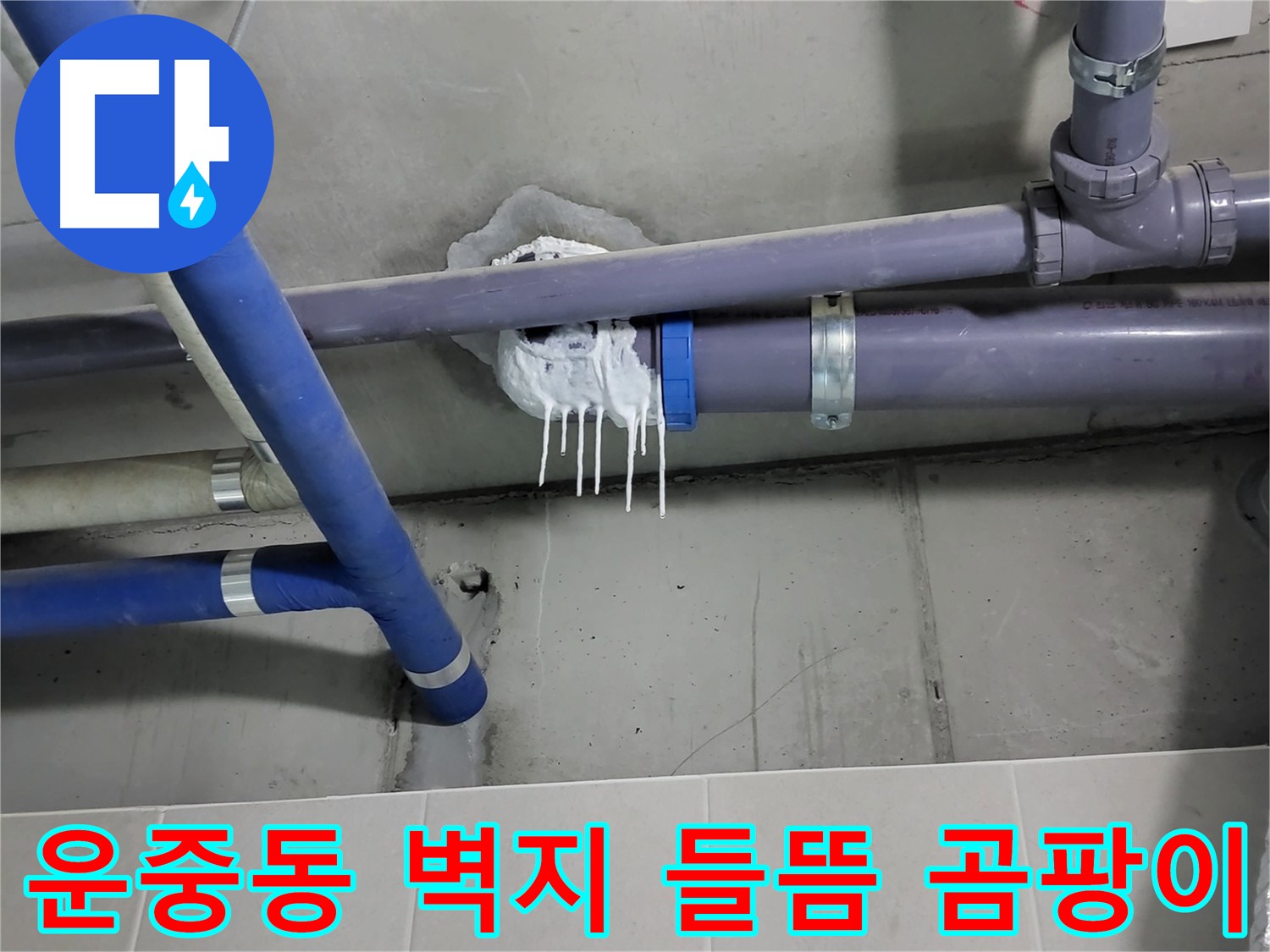 분당 운중동 하수 누수 - 벽지 들뜸과 곰팡이