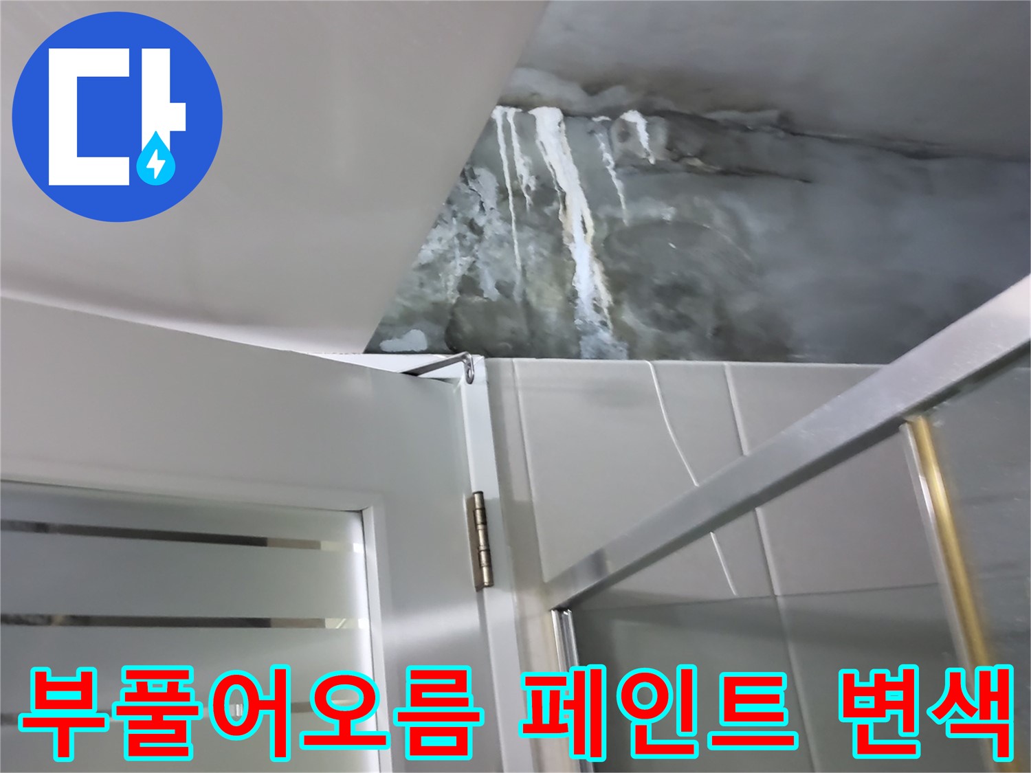 성남 분당 샤워부스 옆 벽면의 심한 부풀어오름과 페인트 변색 집중 점검 - 누수 가능성 점검