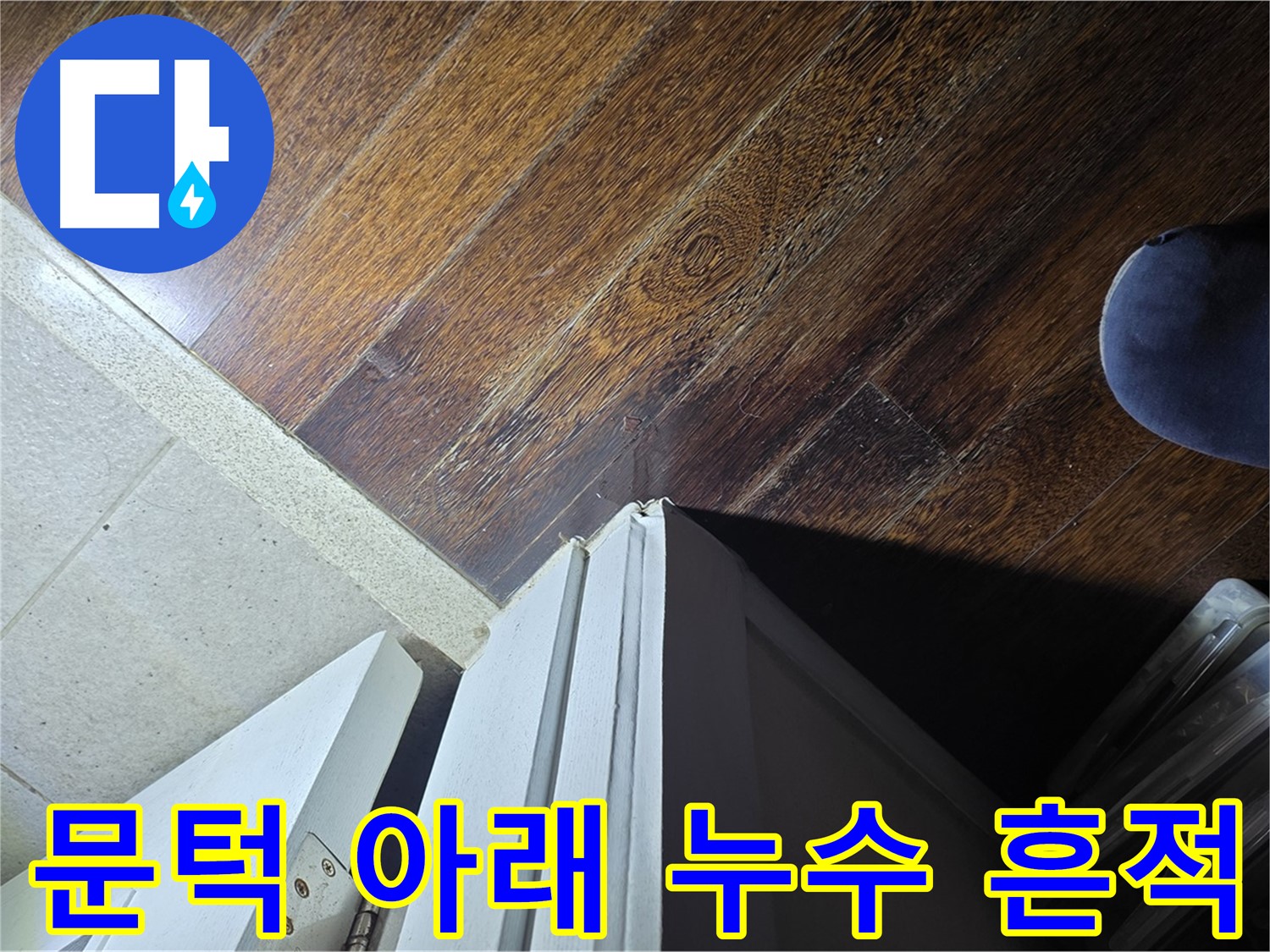 성남 분당 아파트 누수 - 운중동 산운마을 문턱 아래 누수 흔적 발견