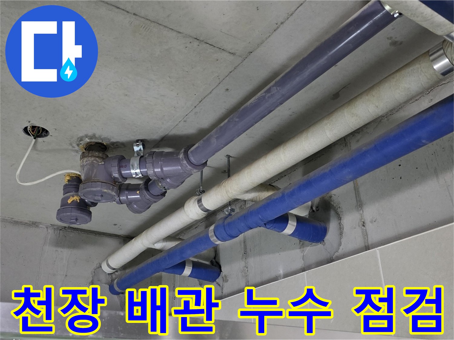 성남 분당 천장 배관 누수 점검 - 꼼꼼한 진단과 완벽한 해결