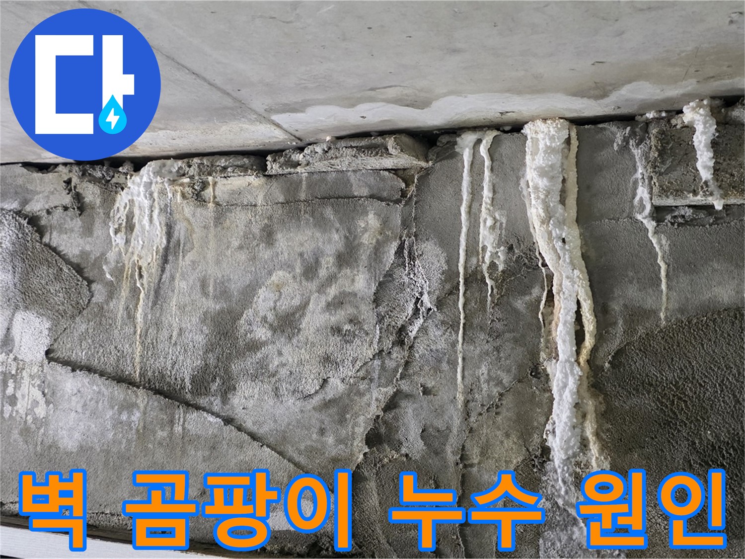운중동 누수 - 벽에 핀 곰팡이, 누수 가능성 높음