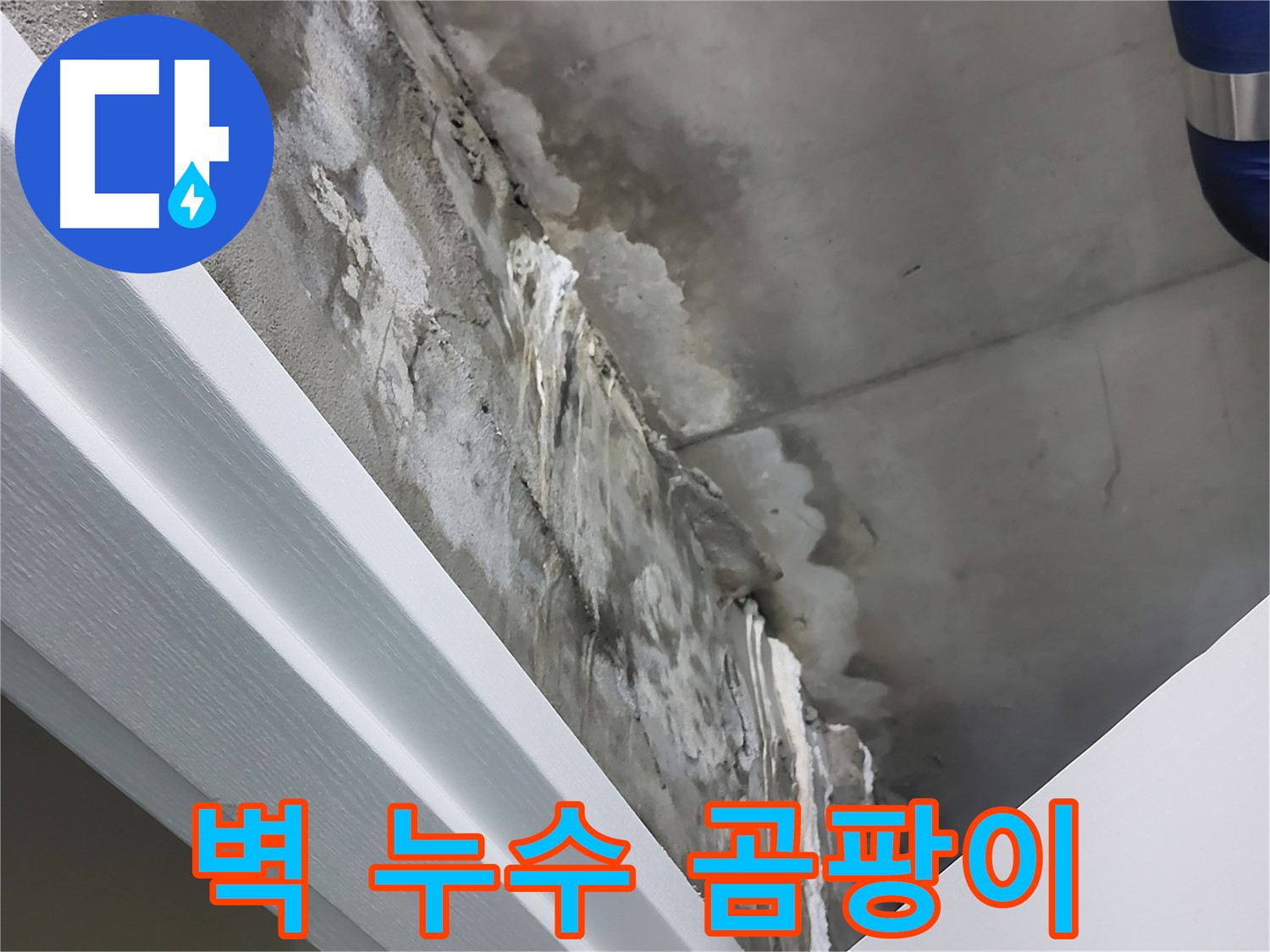 운중동 산운로 - 콘크리트 벽 누수 - 내부 결로와 곰팡이 문제