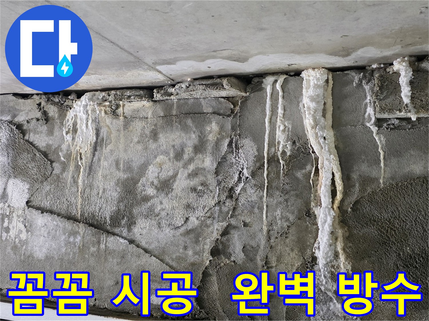 꼼꼼한 시공 - 분당 누수 완벽 해결