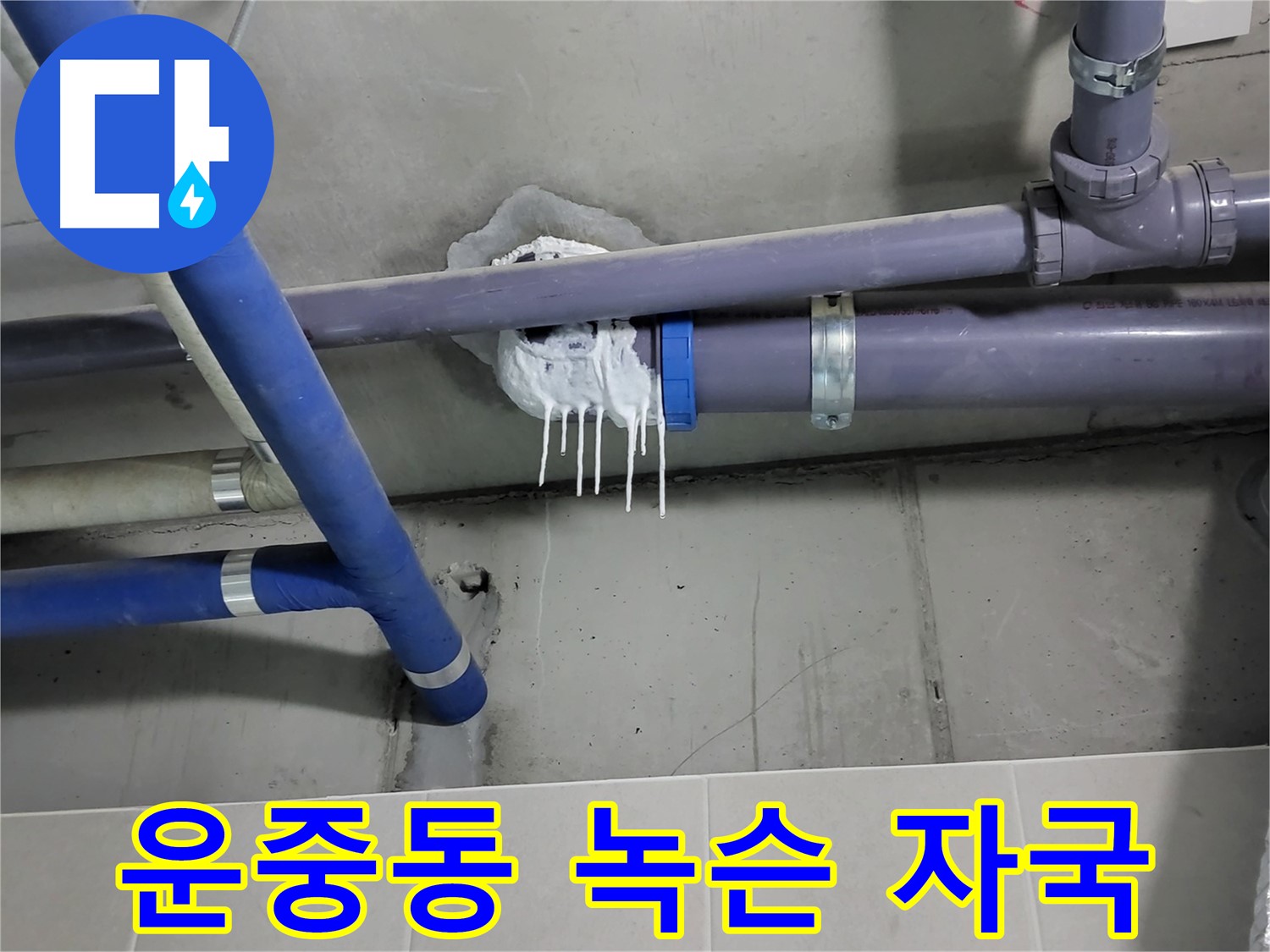 운중동 하수 누수 - 배관 연결 부위 녹슨 자국과 물 떨어짐