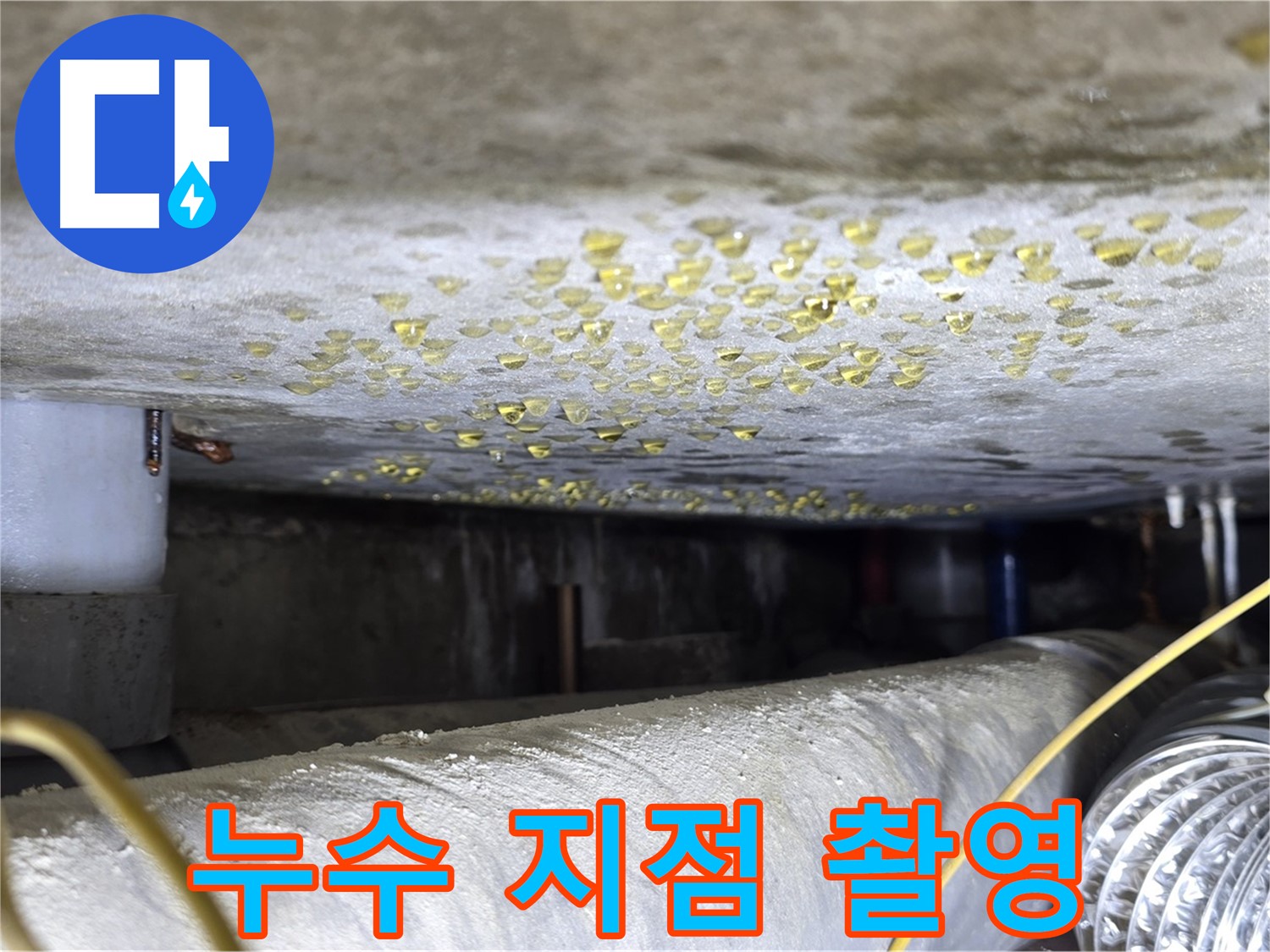 광진구 능동 빌라 천장 누수 - 누수 지점 정밀 촬영 - 문제점 기록