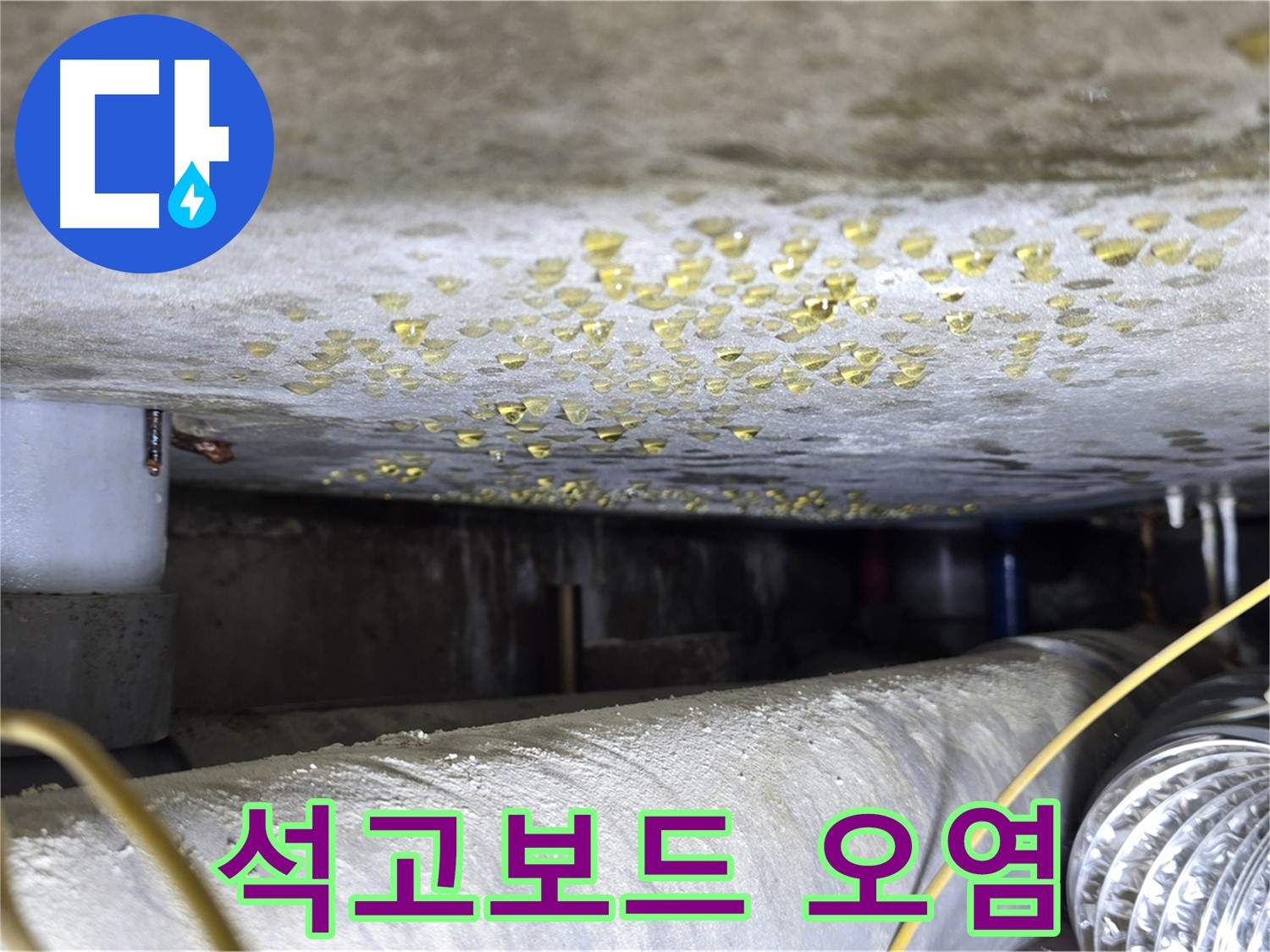 광진구 능동 빌라 천장 누수 - 석고보드 오염 상태 확인 - 누수 흔적