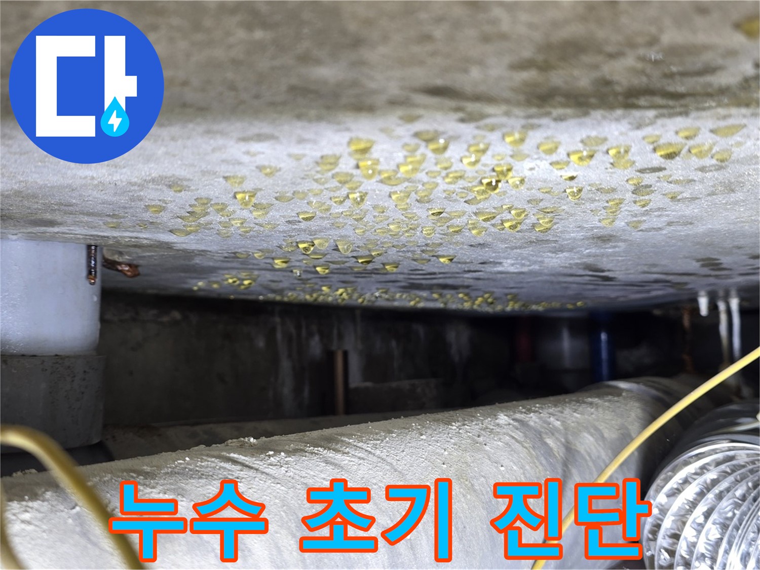 능동 아성빌라트 천장 누수 - 누수 초기 상태 점검 및 진단