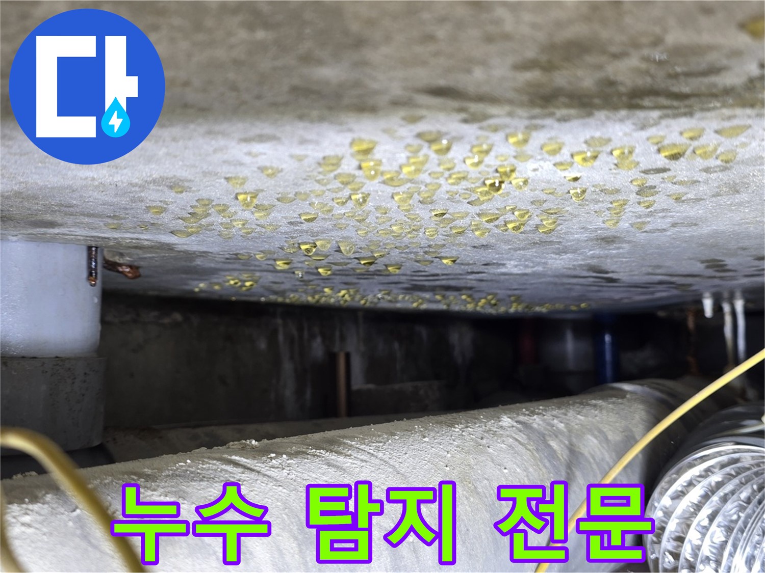 능동 아성빌라트 천장 누수 - 누수 탐지 전문 장비를 사용하는 모습입니다.