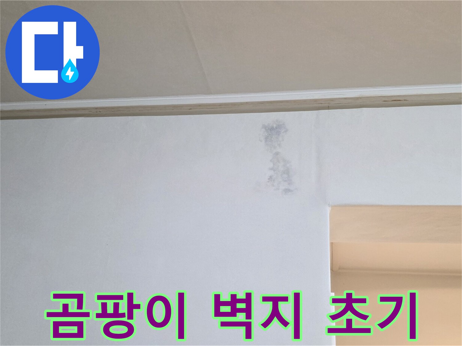 곰팡이 벽지 - 누수 초기 증상으로 나타나는 곰팡이 벽지의 모습입니다. 빠른 탐지가 중요합니다.