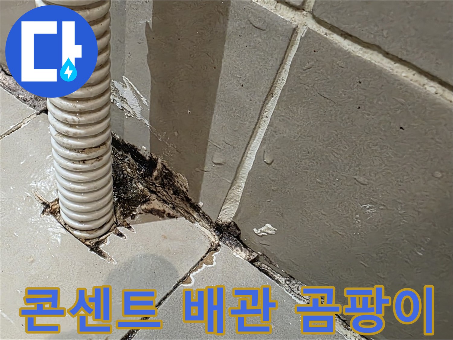용산구 한강로2가 누수 - 콘센트 배관 주변 심각한 곰팡이 발생