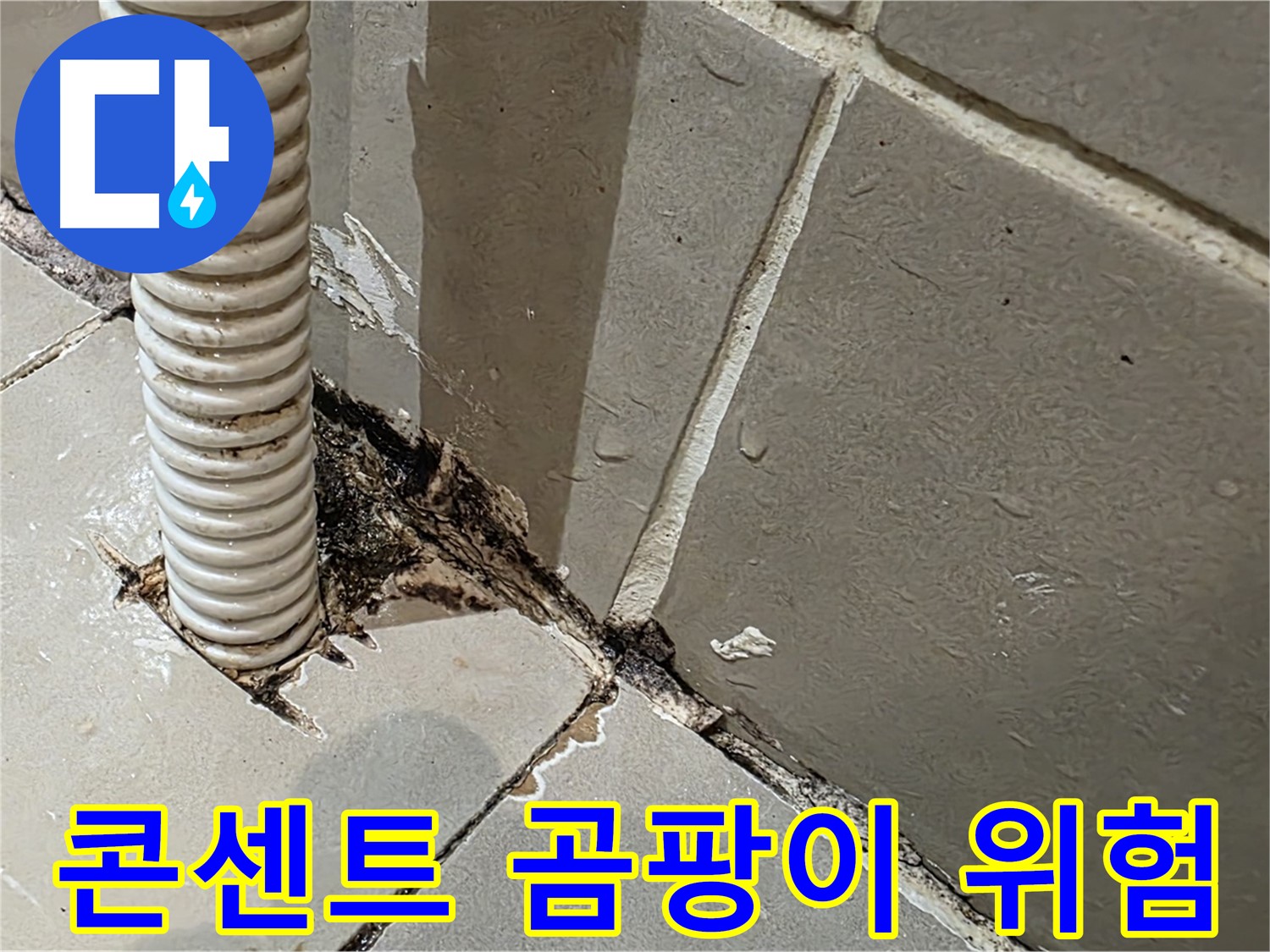 한강로2가 상가 누수 - 콘센트 배관 주변 곰팡이, 전기 안전 위협
