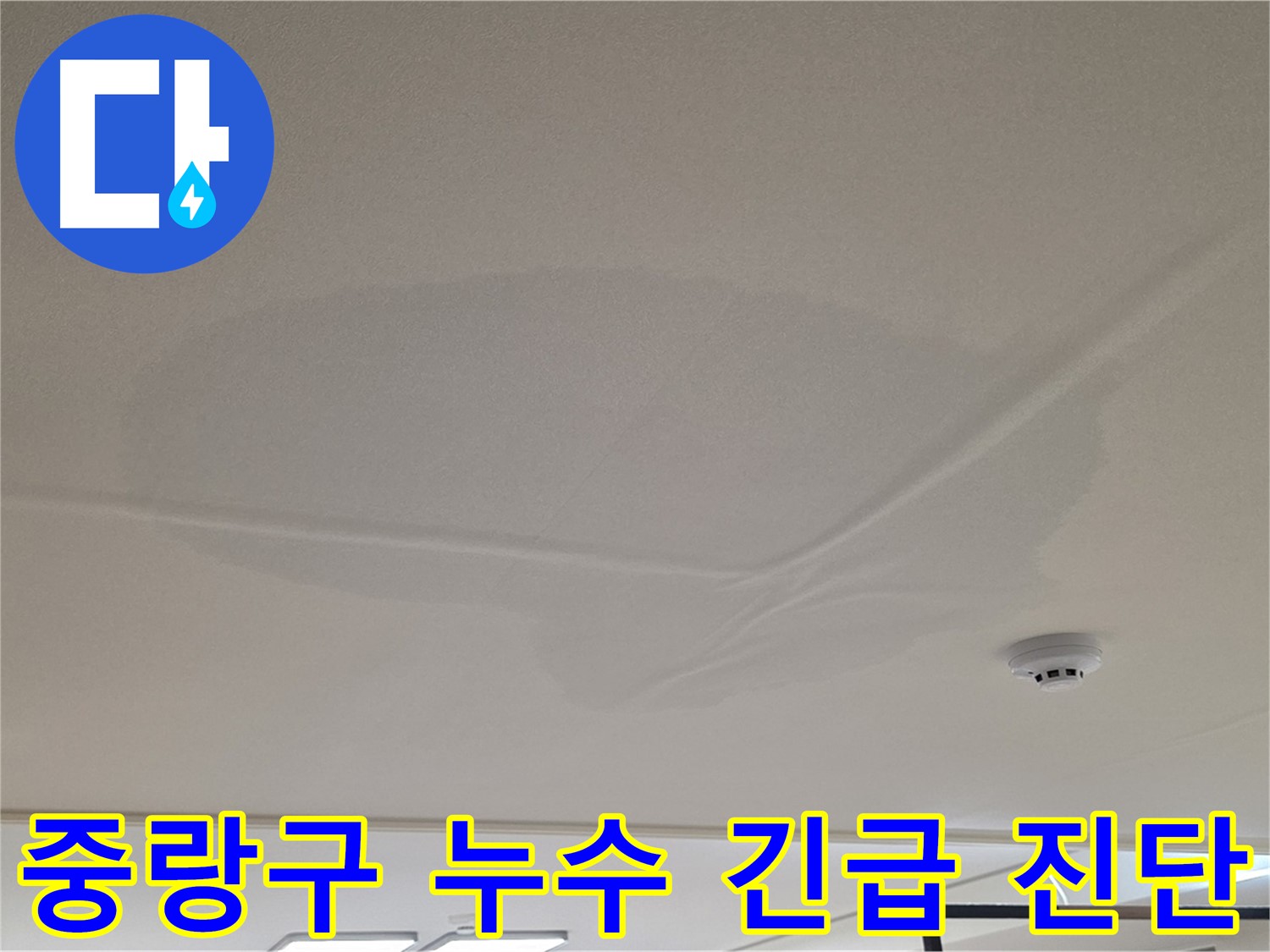 아랫집 천장 누수 - 넓은 범위 물 얼룩 - 긴급 누수 진단 및 원인 분석