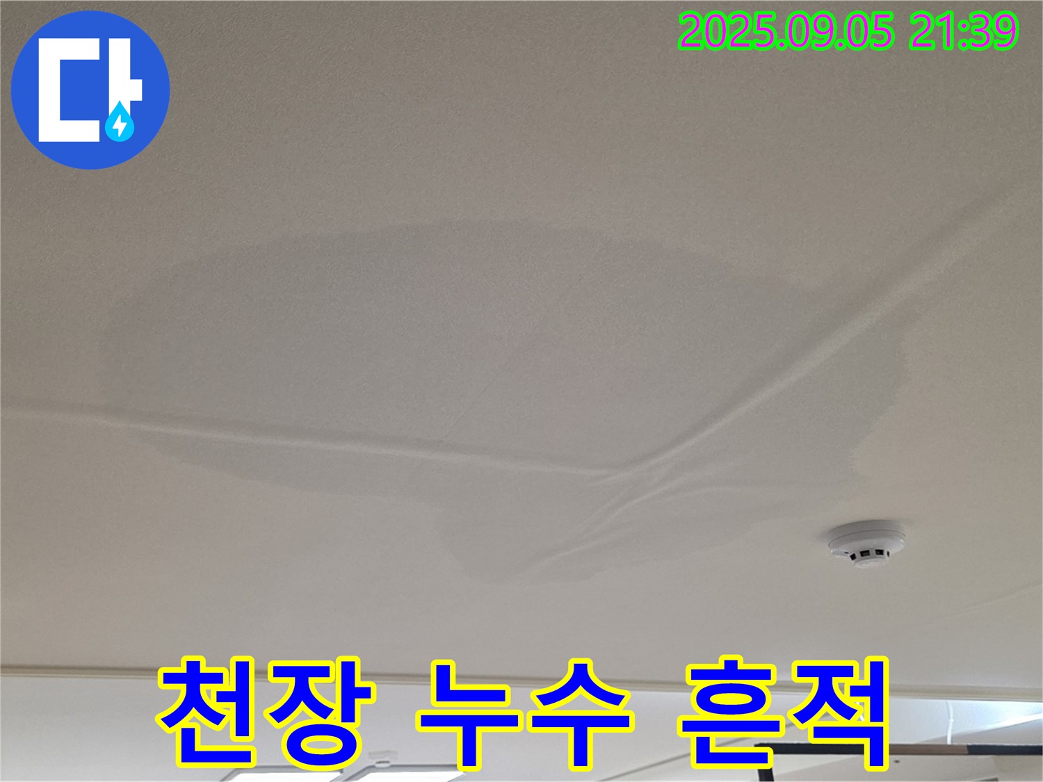 사가정 센트럴아이파크 아파트 윗집 누수 - 천장 누수 흔적, 젖은 천장