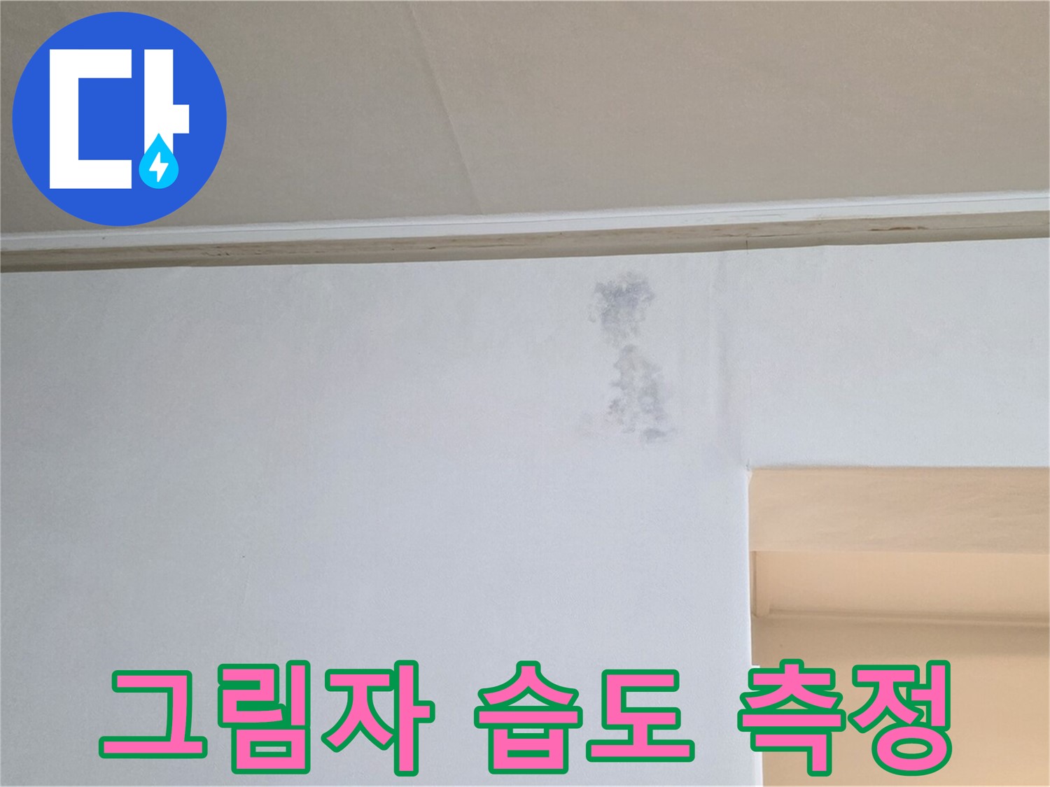 검은 그림자 습도 측정 - 누수 & 곰팡이 정밀 과학 검사
