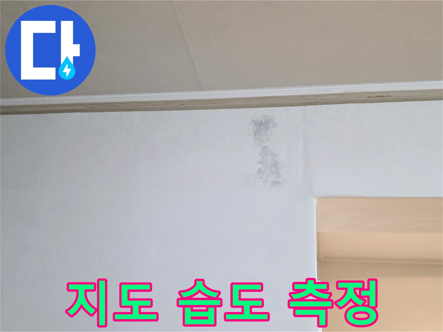 곰팡이 지도 습도 측정 - 누수 & 곰팡이 정밀 검사