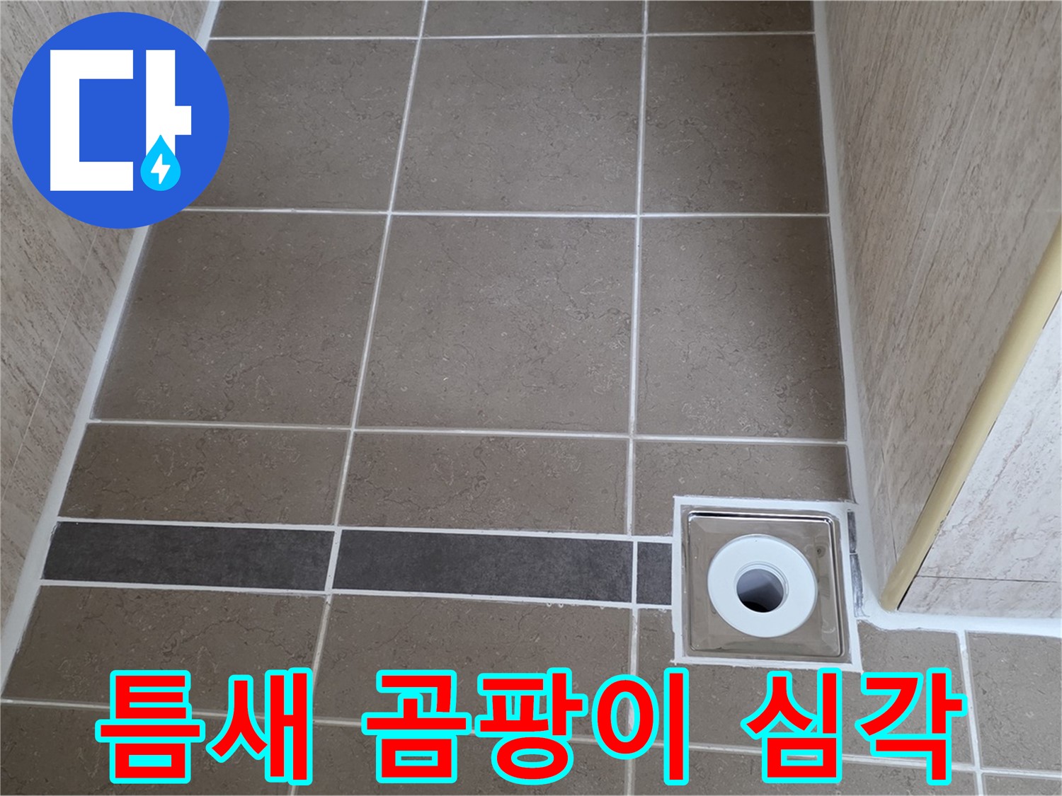 배수구 주변 타일 틈새 - 곰팡이 심각