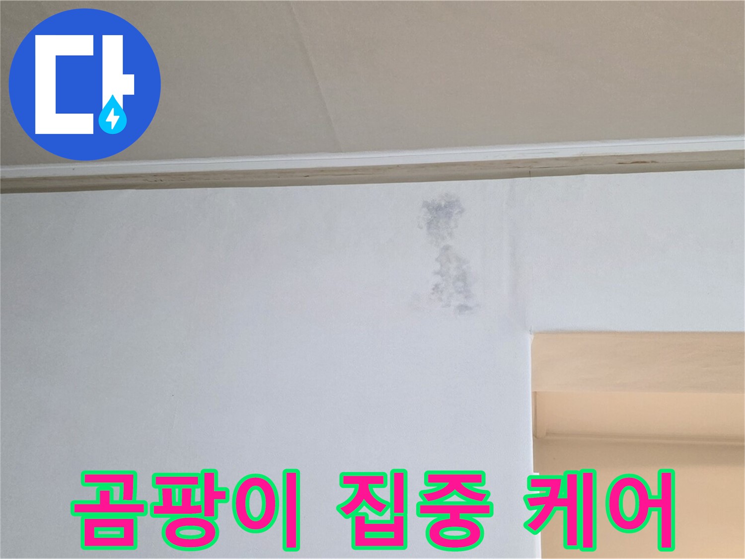 벽 곰팡이 그림자 집중 케어 - 맞춤 솔루션