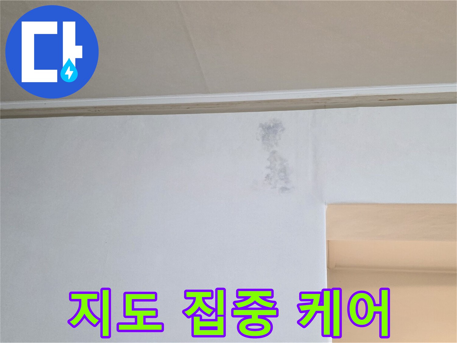 벽 곰팡이 지도 집중 케어 - 맞춤 솔루션 제공