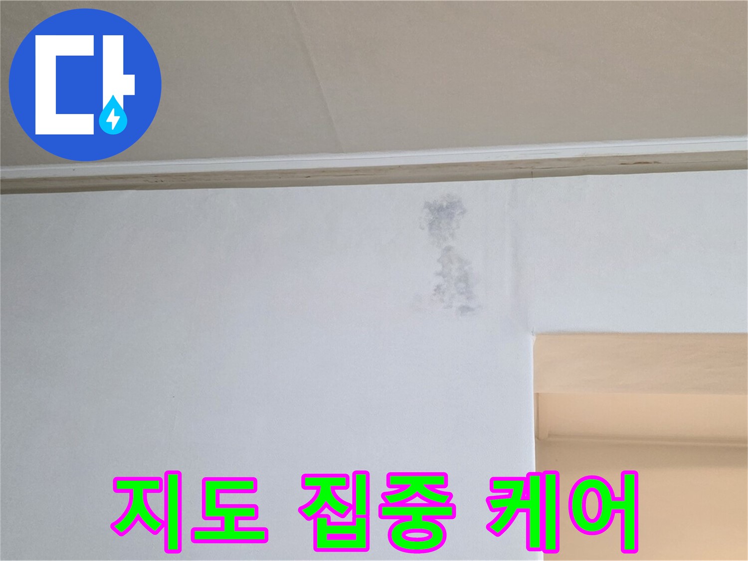 벽 곰팡이 지도 집중 케어 - 맞춤 솔루션 제공