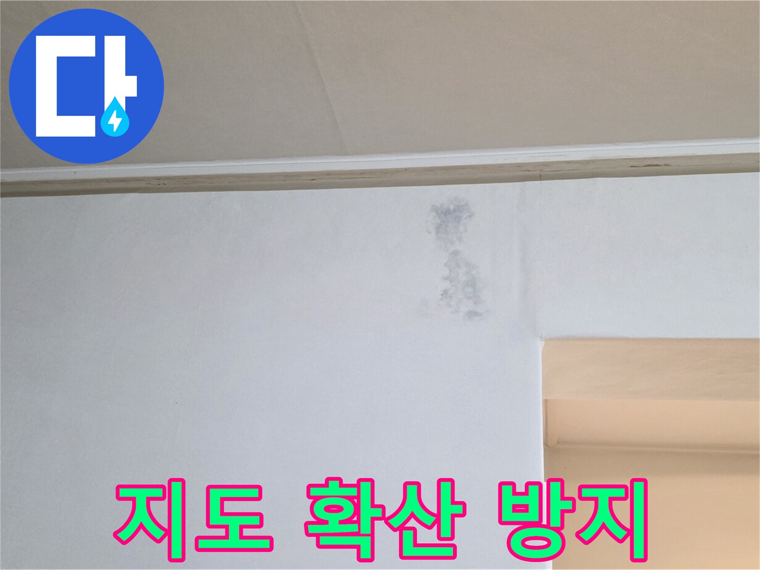 벽 얼룩 지도 확산 방지 - 신속 조치 약속