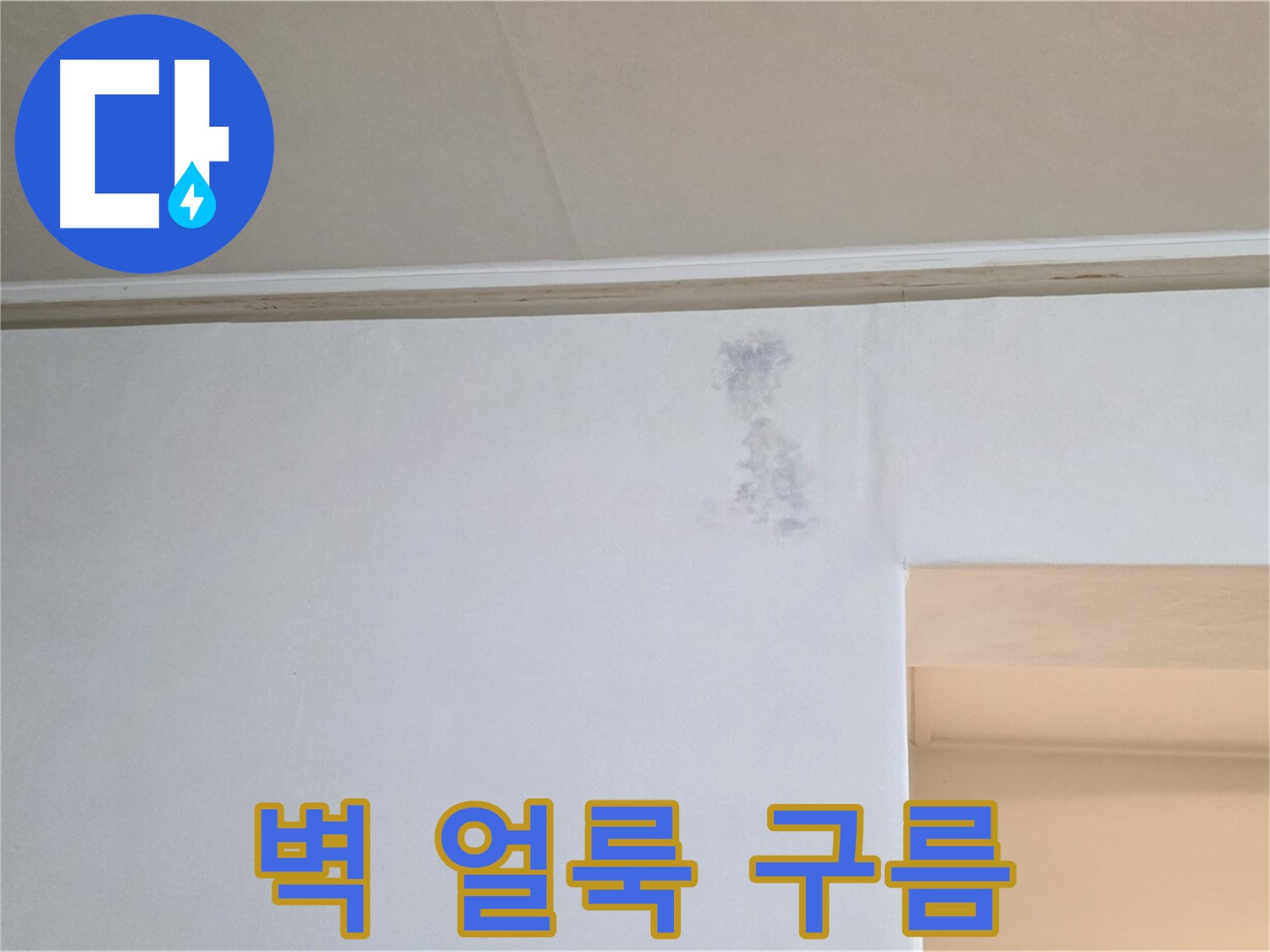 벽 얼룩 - 천장 누수 의심 점검