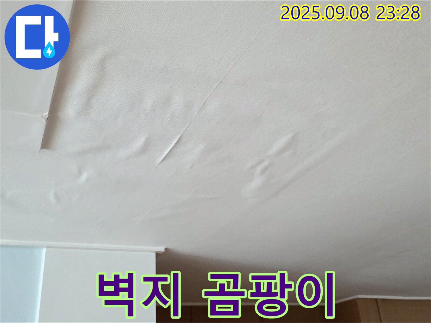 아파트 천장 누수 - 벽지 곰팡이 발생, 초기 대응 중요